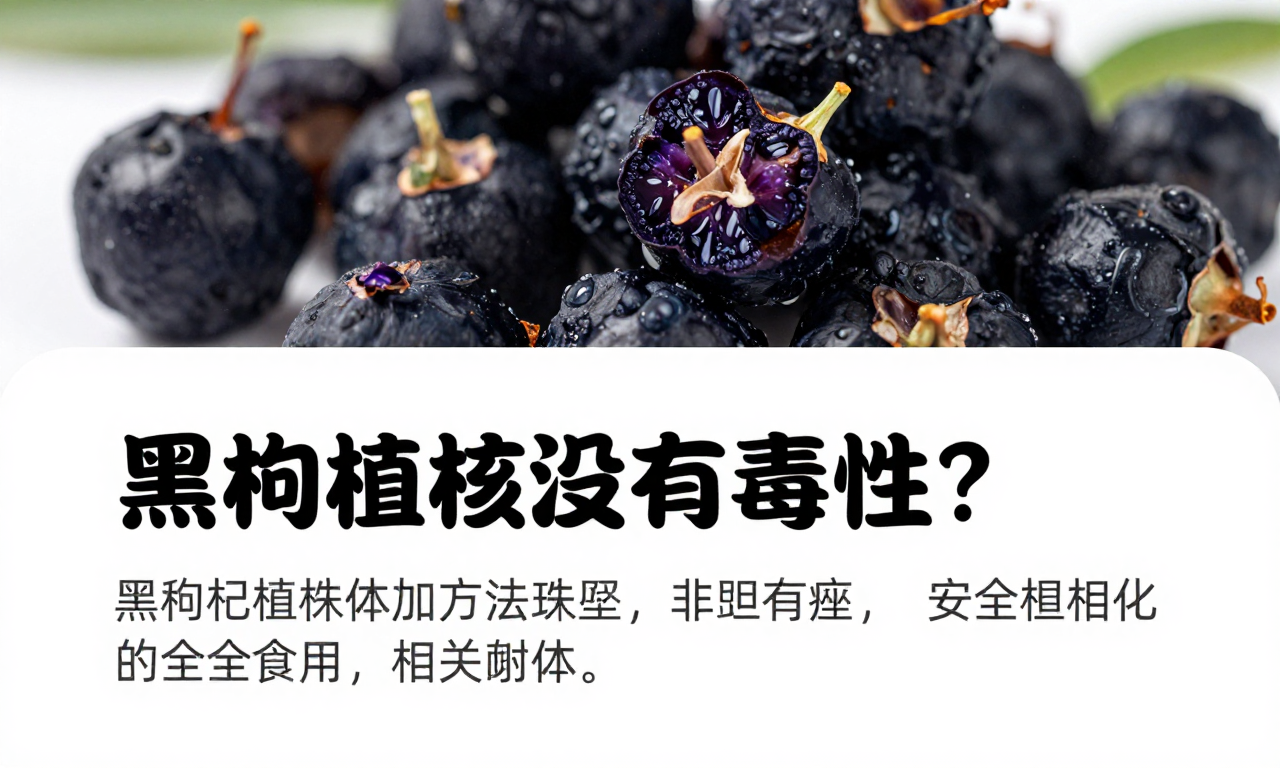 黑枸杞植株有没有毒性？一文揭秘黑枸杞植株的安全食用相关疑问