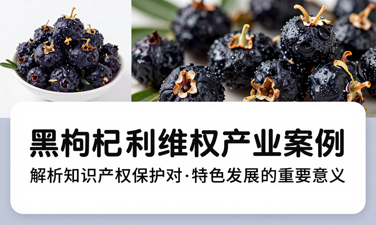 黑枸杞专利维权产业案例 解析知识产权保护对特色产业发展的重要意义