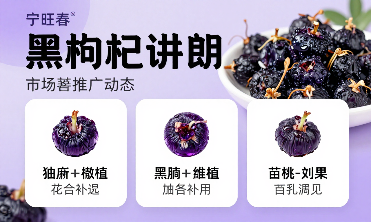 宁旺春黑枸杞品牌市场推广动态：黑枸杞养生价值知识科普